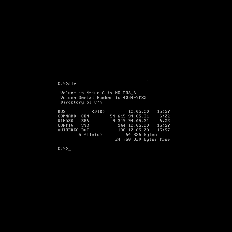 MS DOS