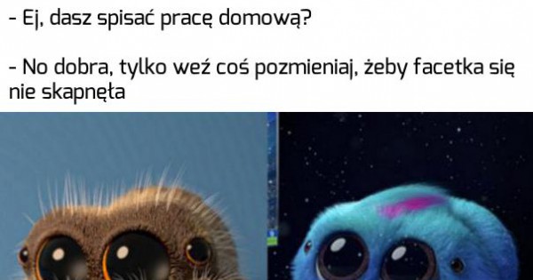 Praca domowa